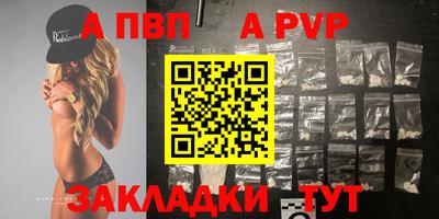 стафф Камышлов