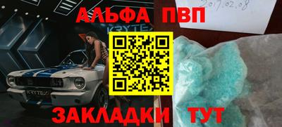 стафф Камышлов