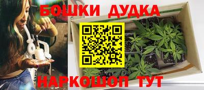 стафф Камышлов