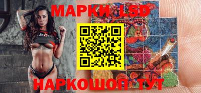 стафф Камышлов