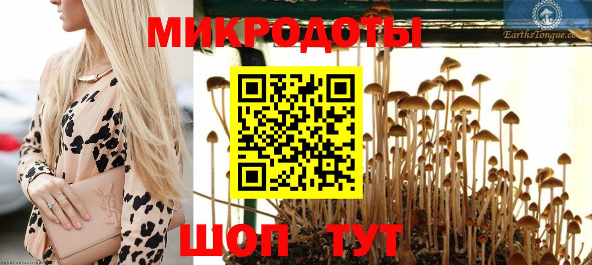 Елабуга  Псилоцибиновые грибы мухоморы  Вход с VPN 